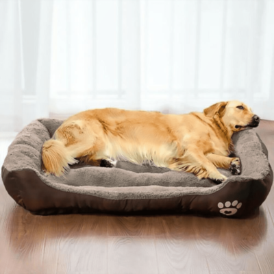 download dog sofa bed