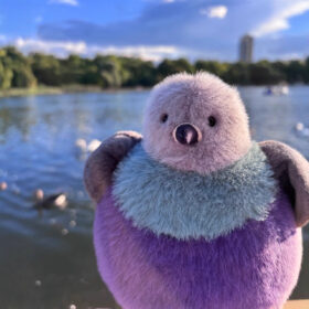 Fat Pigeon Plush